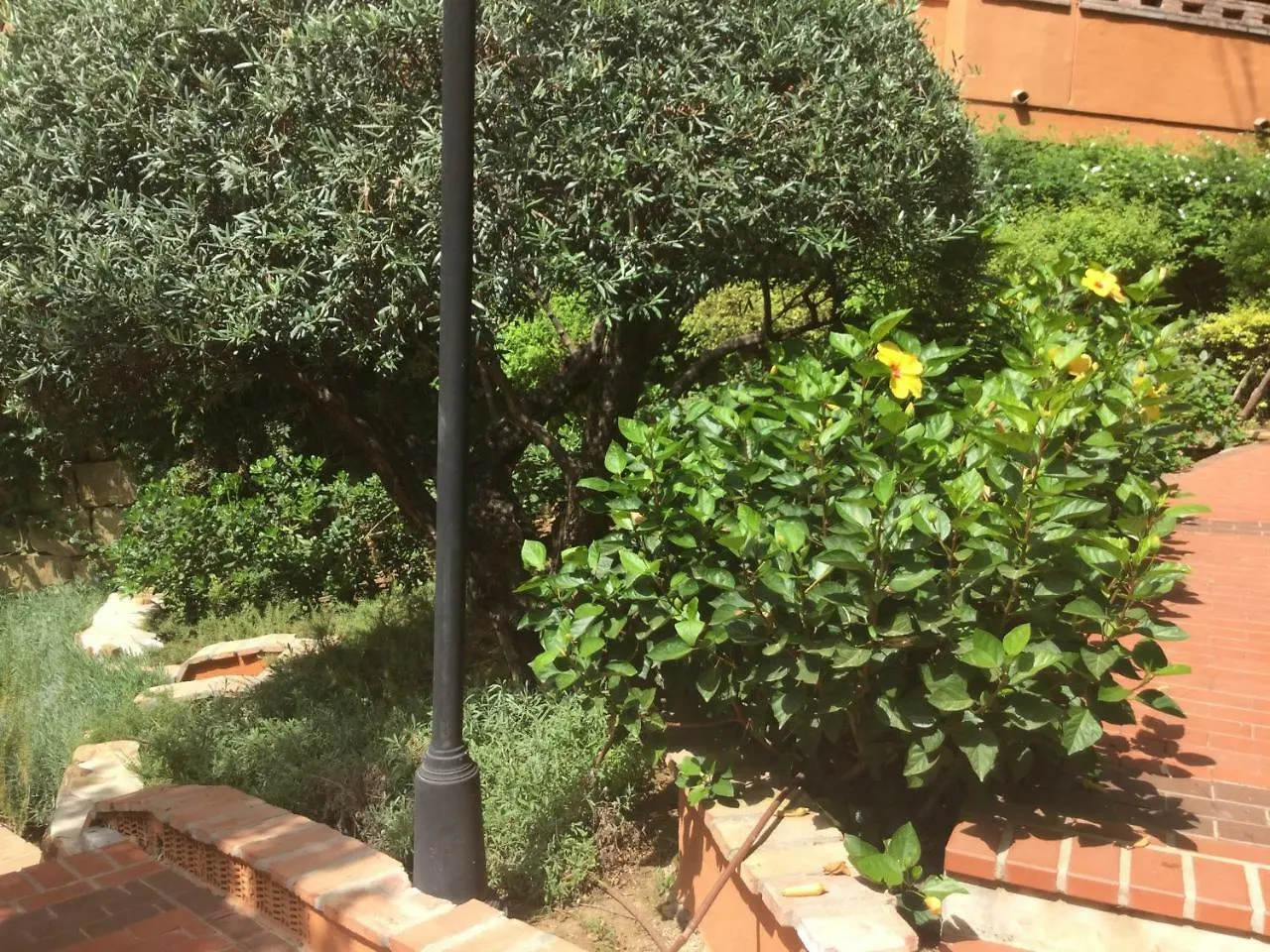 Atico Milla De Oro Apartment Marbella Spain