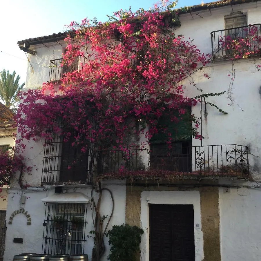 Atico Milla De Oro Apartment Marbella